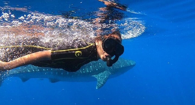 Dolphin Bay Atlantis Tickets