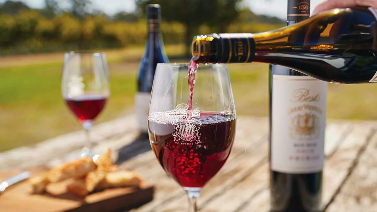 Franschhoek Wine Tram