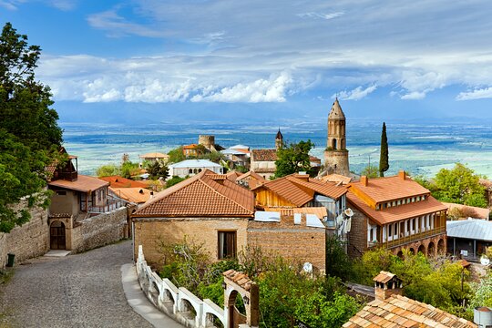 Day Trip to Kakheti Wine Region Including Seven Wine Tastings (Tbilisi)