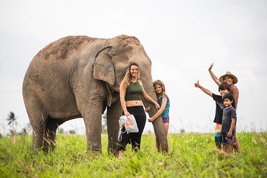 Elephant Jungle Sanctuary: Half Day Afternoon Program