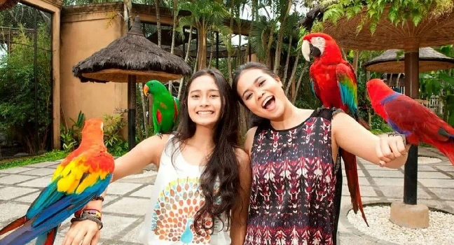 Bird Paradise Singapore