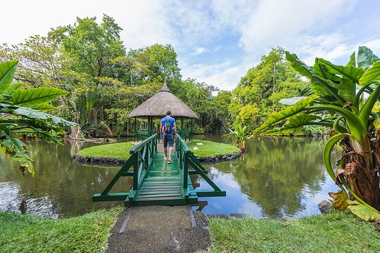 Discovering the North of Mauritius: Full-day incl Botanical garden & lunch (Trou d'Eau Douce)