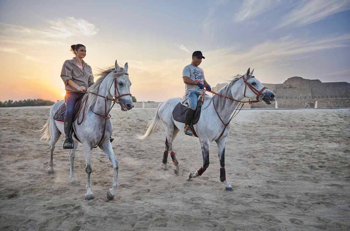 Arabian Morning Horse Riding & Stable Tour