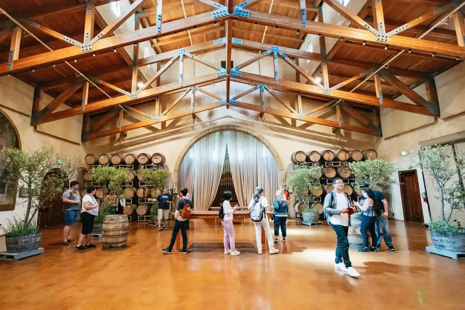 Napa Valley and Sonoma Wine Tour 2025