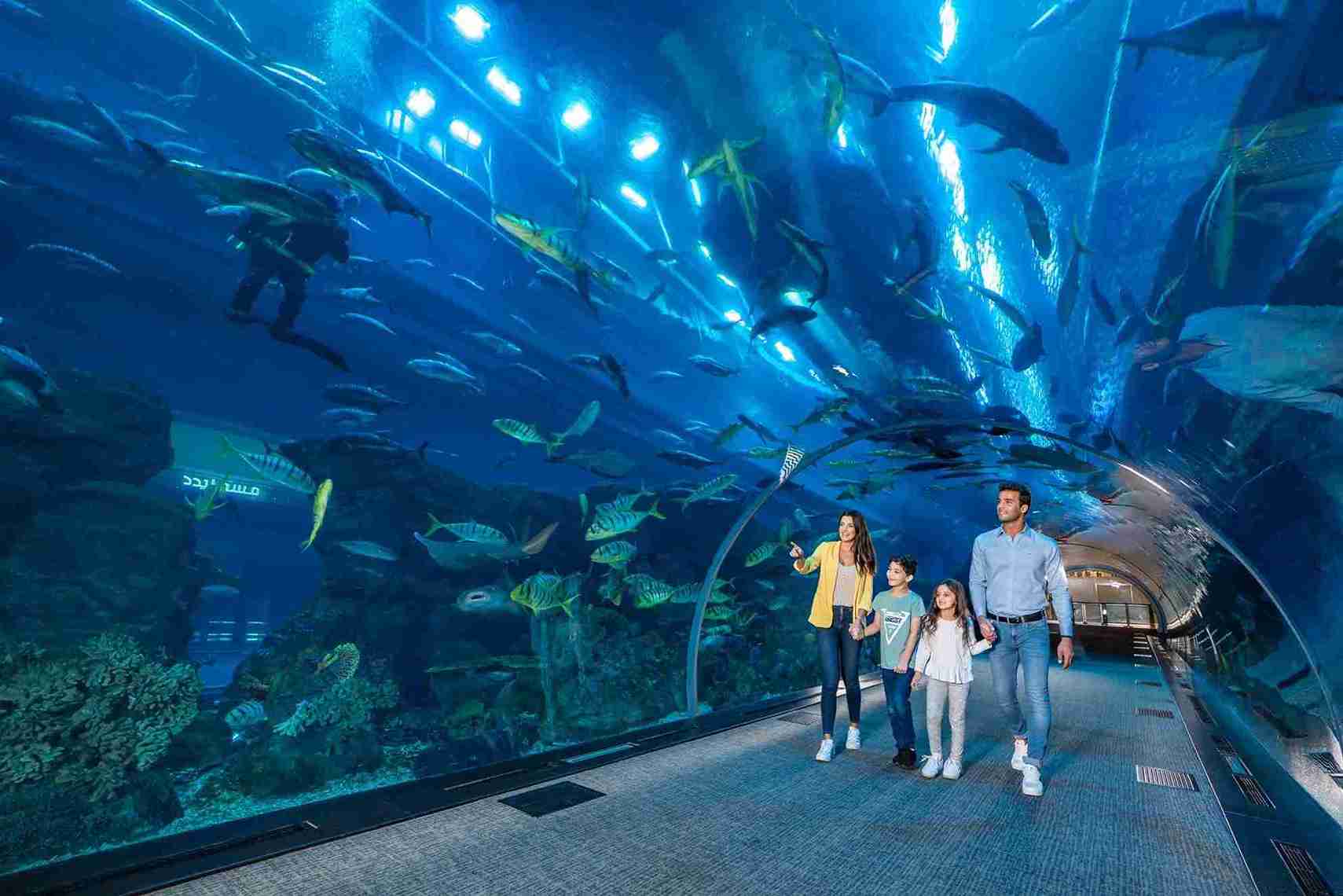  Dubai Mall Aquarium and Underwater Zoo 