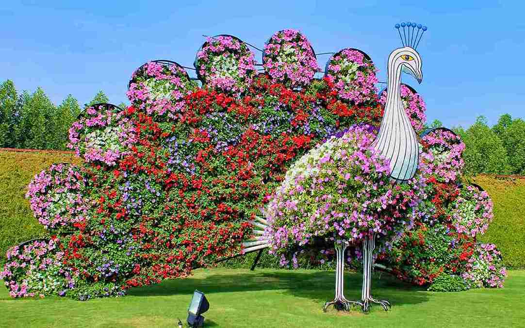 Miracle Garden Dubai A Floral Wonderland