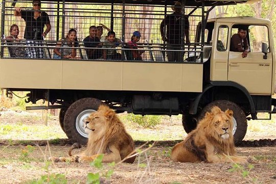 South of Mauritius Full Day Tour