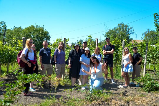 Day Trip to Kakheti Wine Region Including Seven Wine Tastings (Tbilisi)