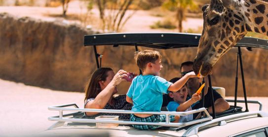 Al Ain Zoo Safari Tickets