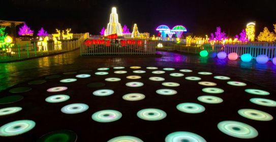 Dubai Garden Glow Tickets