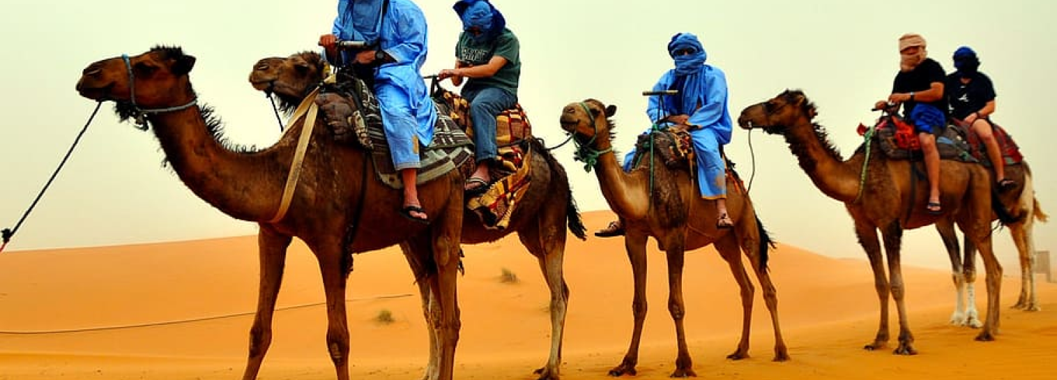 Desert Safari with Camel Trekking | Abu Dhabi