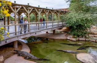 Visit the Crocodile Enclosure