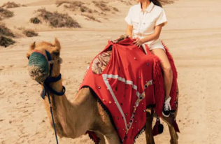 Camel Rides