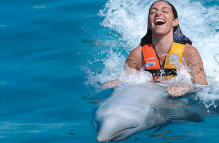 Dolphin Adventure