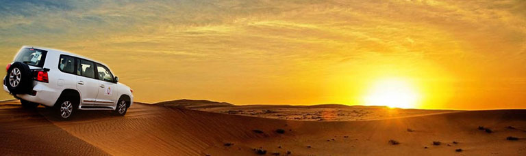 Discover the Wonders of Early Morning Desert Safari