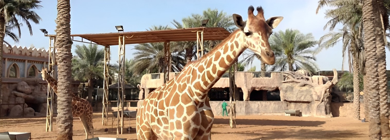 Highlights of Emirates Park Zoo Activities