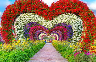 Visit the Heart Tunnel