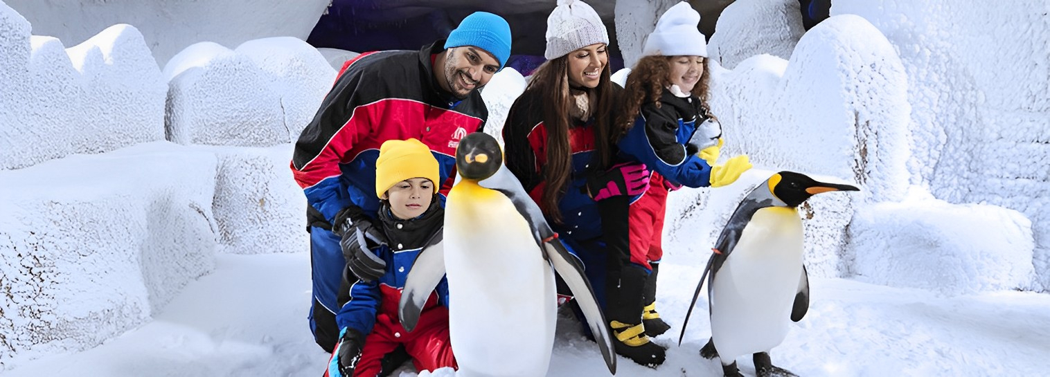 Penguin Encounter Dubai Deals at Dubai Aquarium