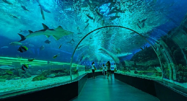 Sea Aquarium