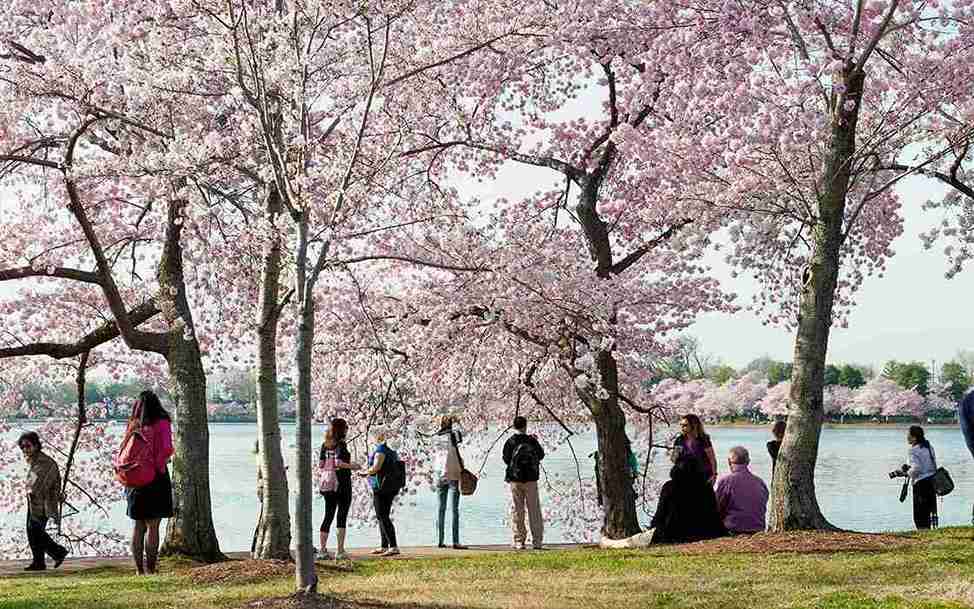 DC Monuments Tour with River Cruise