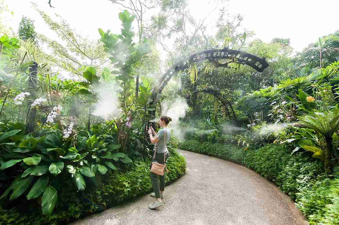 Singapore Hotel