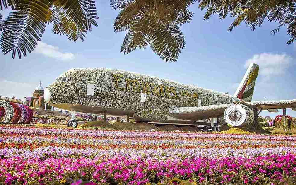 Miracle Garden