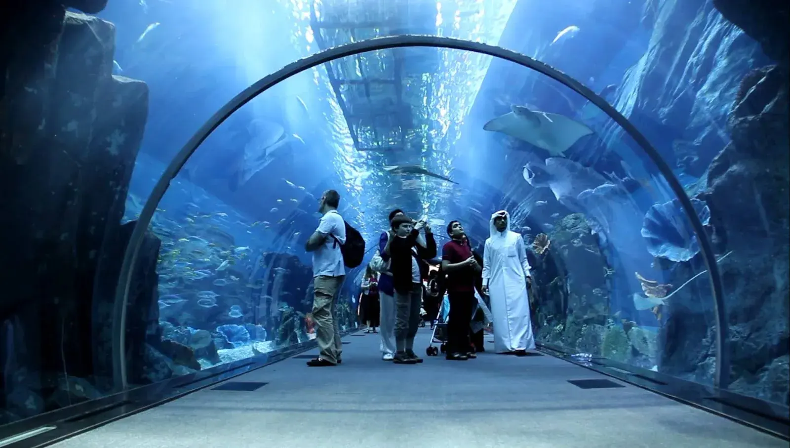 DubaiDubai Mall Aquarium and Underwater Zoo Tickets Aquarium Tickets