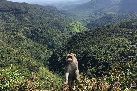 Mauritius full day tour : Private south west with lunch (CHARAMEL)