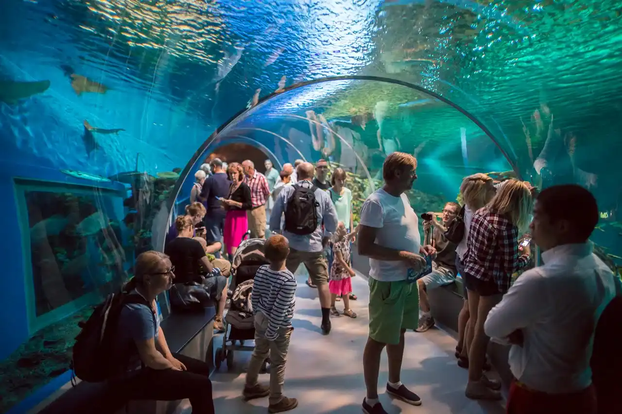 Ripley's Aquarium of Canada entry ticket