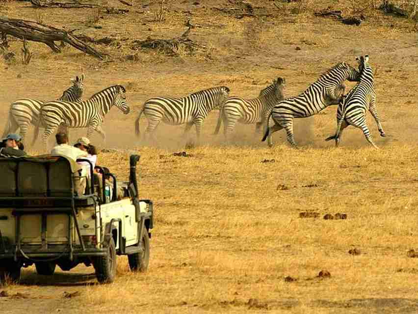 Half Day Safari Tour from Durban