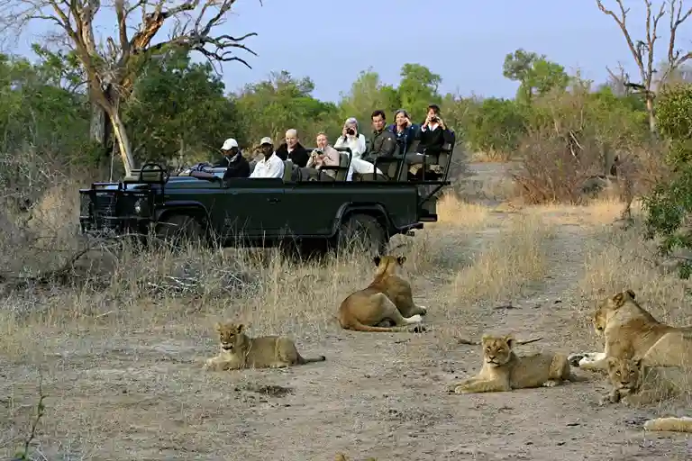 Pilanesberg Nature Reserve Game Safari