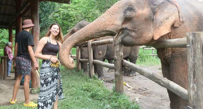 Elephant Sanctuary