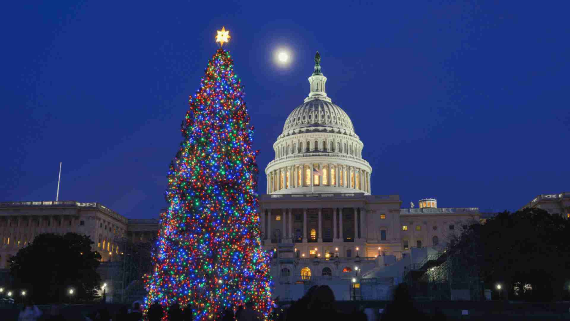 Washington DC Hop-On Hop-Off Tour