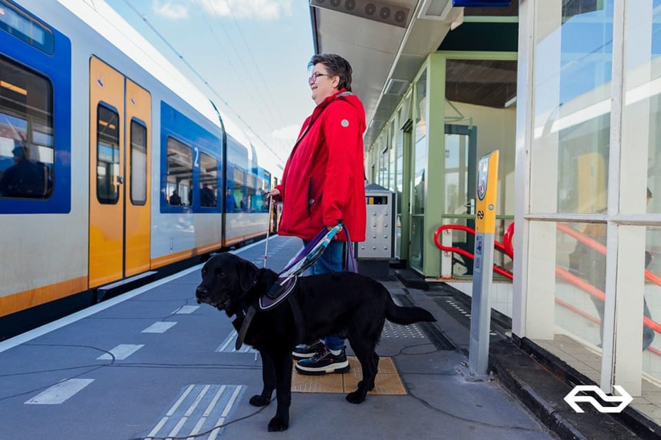 Eindhoven: Train Transfer Eindhoven from/to Rotterdam