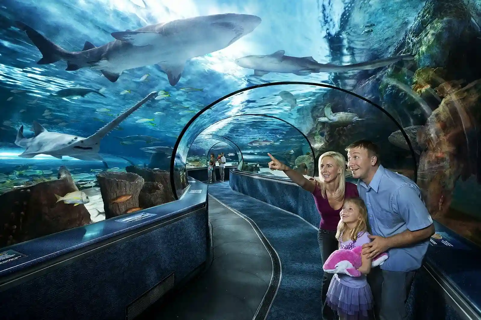 Dubai Mall Aquarium and Underwater Zoo Tickets
