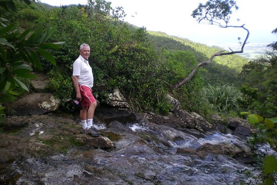Exotic South: Journey into the Nature (Full-Day Tour incl Lunch & Ebony Forest) (Trou d'Eau Douce)
