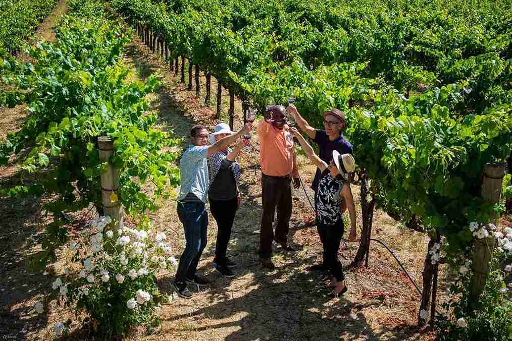 Half-Day Wine Tour from San Francisco