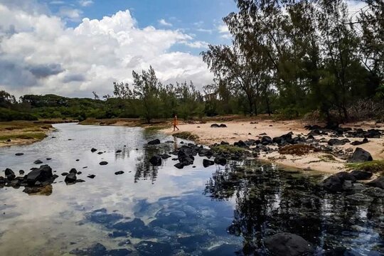 The Wild East of Mauritius: Full-day tour including 2-hour Quad-Biking & Lunch (Trou d'Eau Douce)