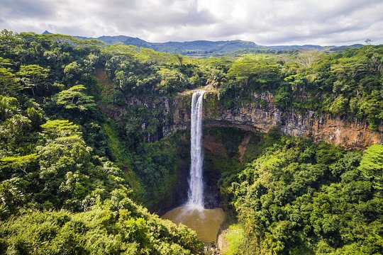 Exotic South: Journey into the Nature (Full-Day Tour incl Lunch & Ebony Forest) (Trou d'Eau Douce)