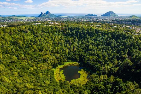 Exotic South: Journey into the Nature (Full-Day Tour incl Lunch & Ebony Forest) (Trou d'Eau Douce)