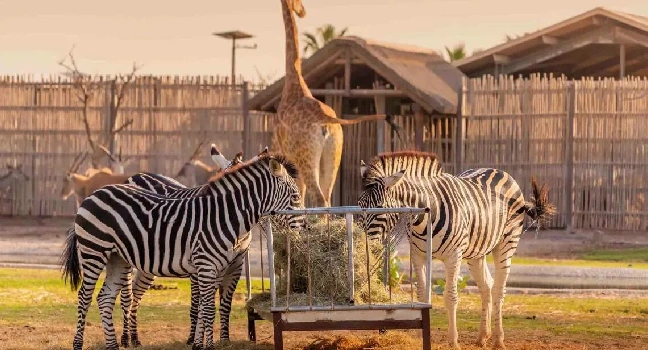 South of Mauritius Full Day Tour