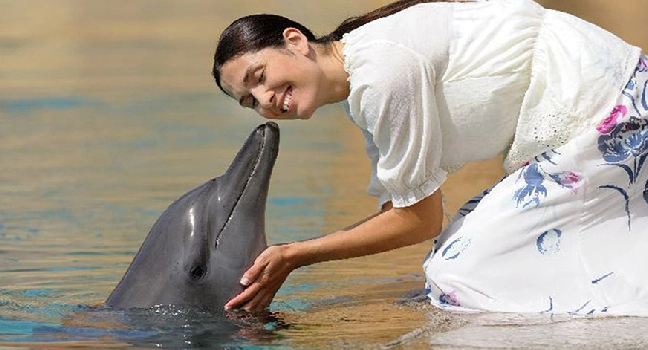 Dolphin Bay Atlantis Tickets