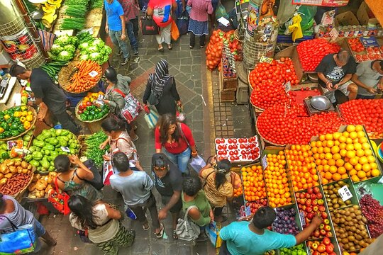Discovering the North of Mauritius: Full-day incl Botanical garden & lunch (Trou d'Eau Douce)