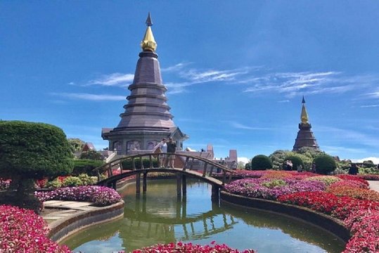 Doi Inthanon National Park and Chiang Mai Royal Project Tour