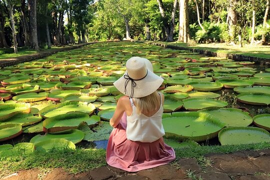 Discovering the North of Mauritius: Full-day incl Botanical garden & lunch (Trou d'Eau Douce)