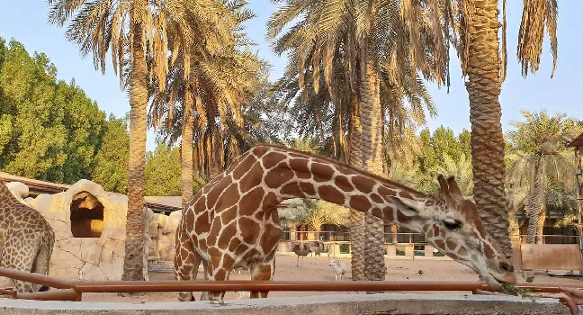 Al Ain Zoo Abu Dhabi