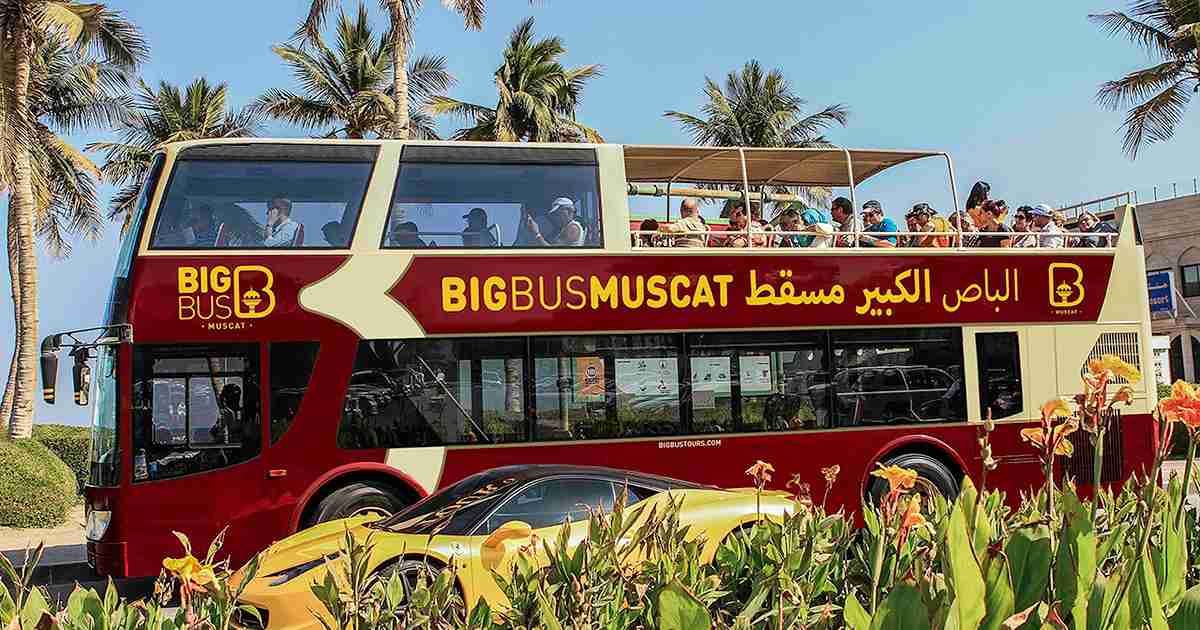 Big Bus Sightseeing Tour