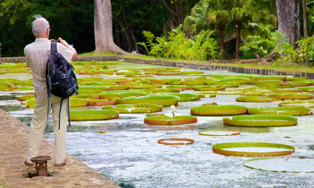 Discovering the North of Mauritius: Full-day incl Botanical garden & lunch (Trou d'Eau Douce)