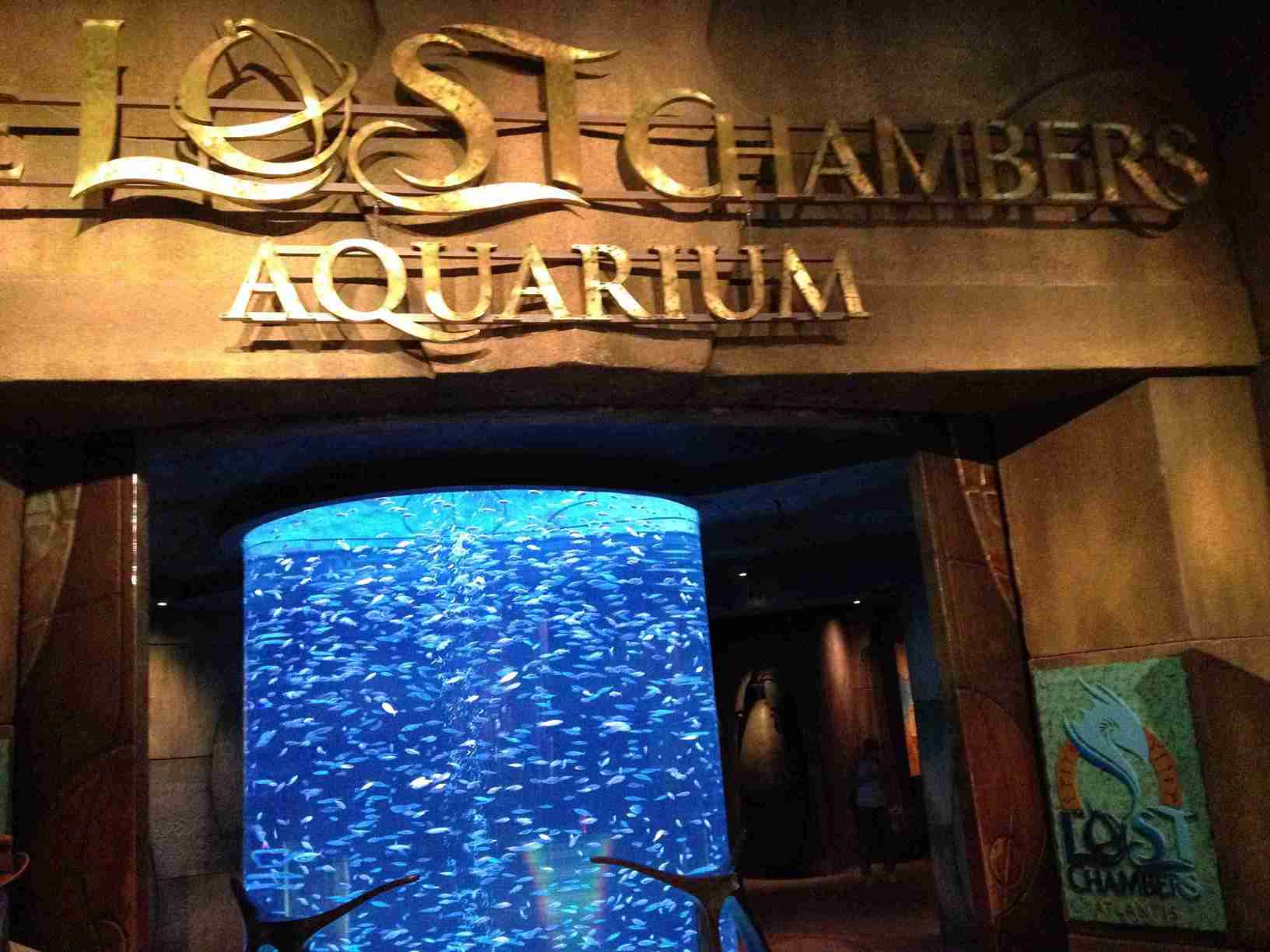 Aquaventure Lost Chambers Dubai Tickets & Prices 2025