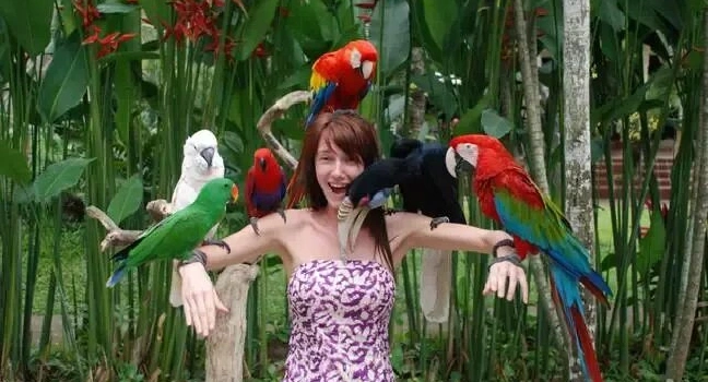 Bird Paradise Singapore